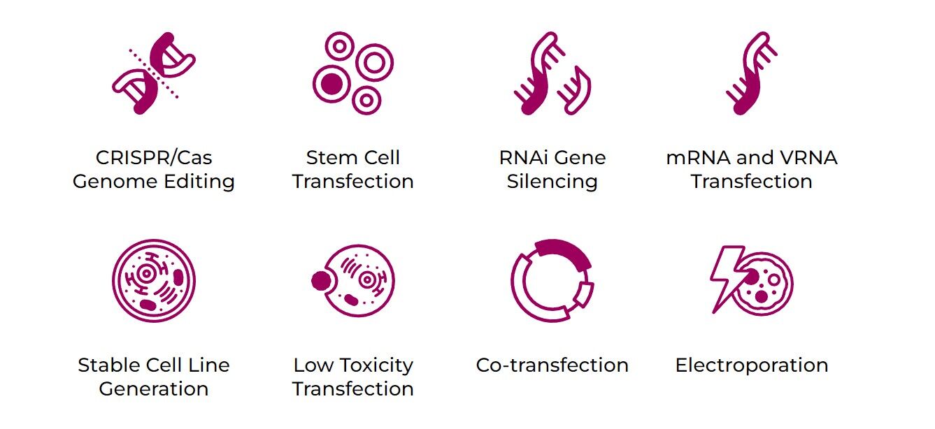 Mirus Universal Transfection Reagent: TransIT-X2? for Multiple Nucleic Acid/Protein and Cell Types